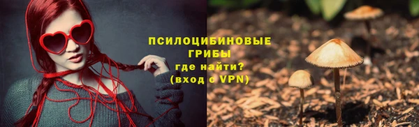 прущие грибы Балахна