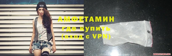 прущие грибы Балахна