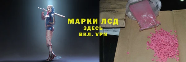прущие грибы Балахна