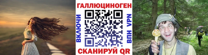 Галлюциногенные грибы Psilocybine cubensis  Нефтегорск 